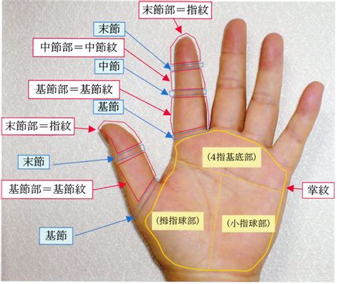 指節紋